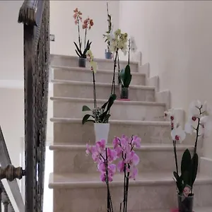 Daphnae House Gasthof Palma di Montechiaro